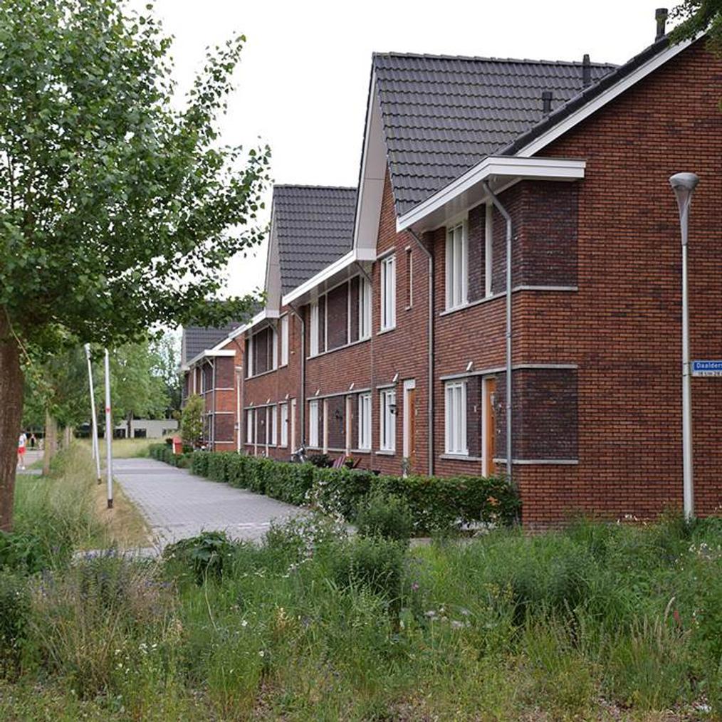 Broekman Makelaars